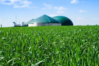 Foto: Biogasanlage umgeben von jungem Getriedebestand